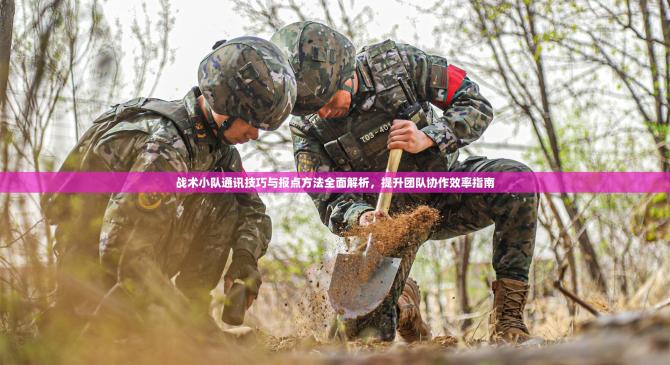 包含浙江队战术调整提升团队合作的词条