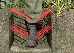 巴克利大胆预测雷霆赢得nba总决赛