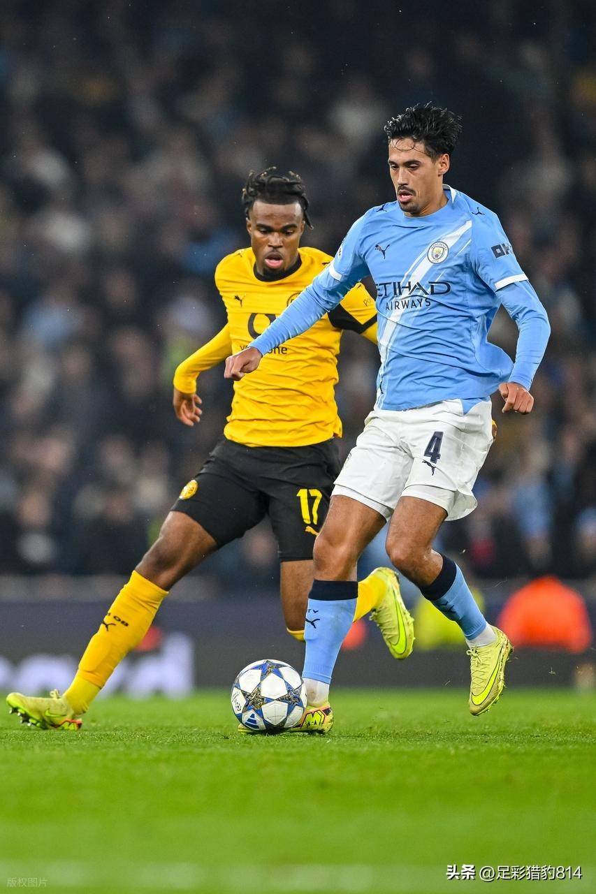 20242025德甲积分榜