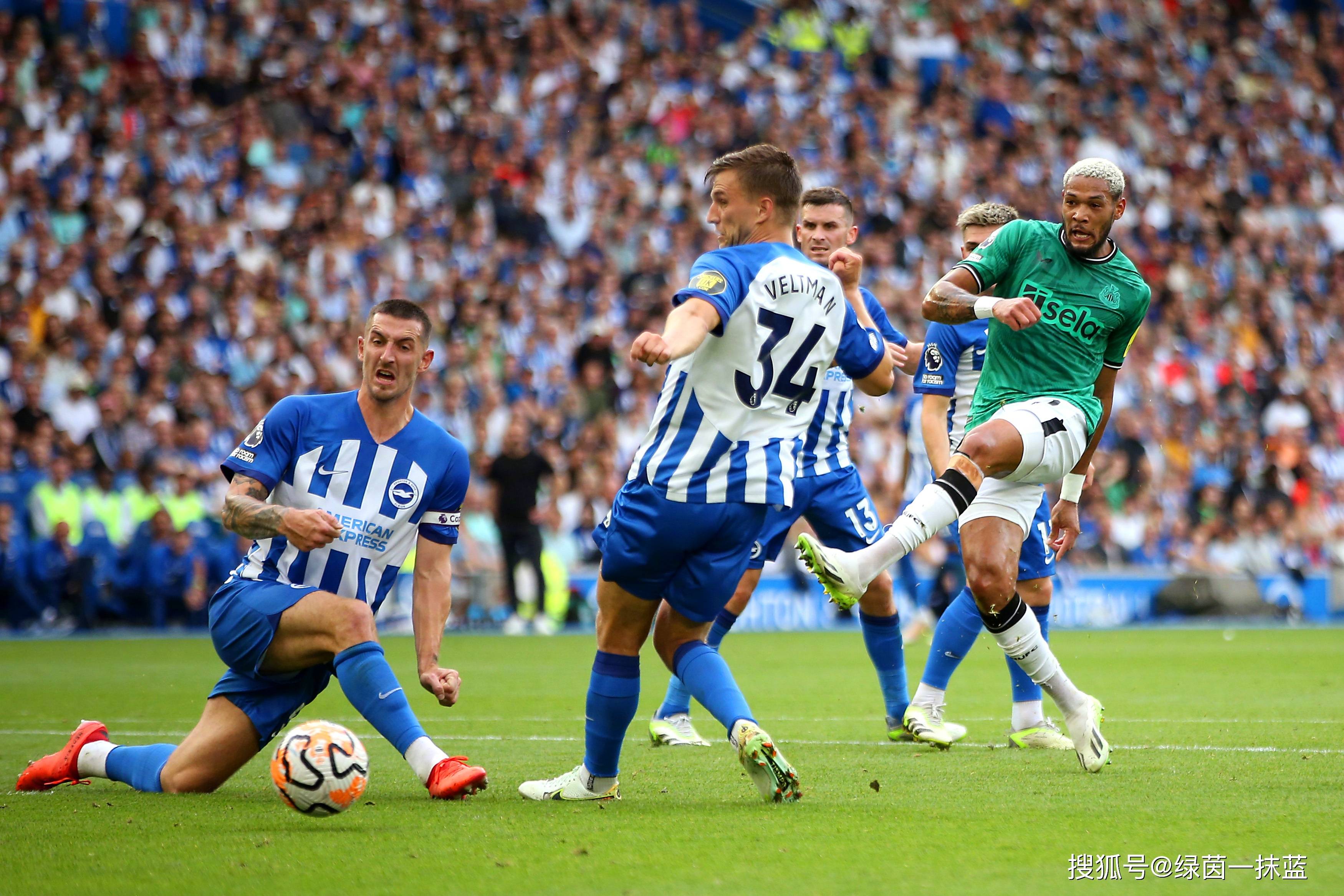 顿涅茨克人民共和国和卢甘斯克人民共和国