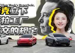 开元-马斯特里vs格拉夫