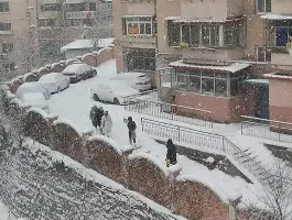 开元棋牌app下载地址-辽宁男篮签下新大外援