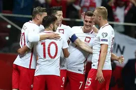 开元棋牌APP-欧洲杯 波兰队