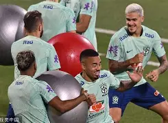 欧洲杯爱尔兰球迷感动全场