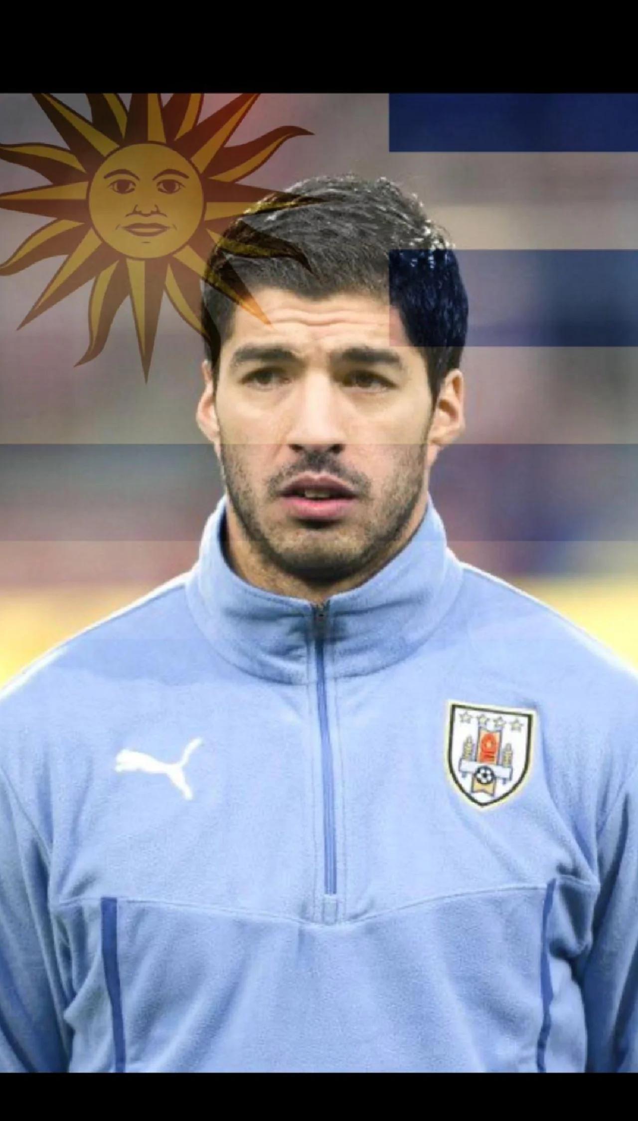 两个路易斯苏亚雷斯