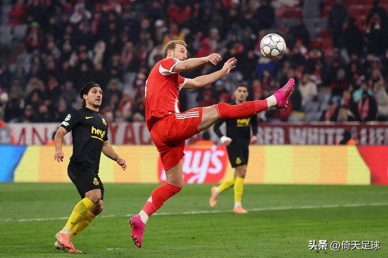 德甲拜仁慕尼黑vs霍芬海姆