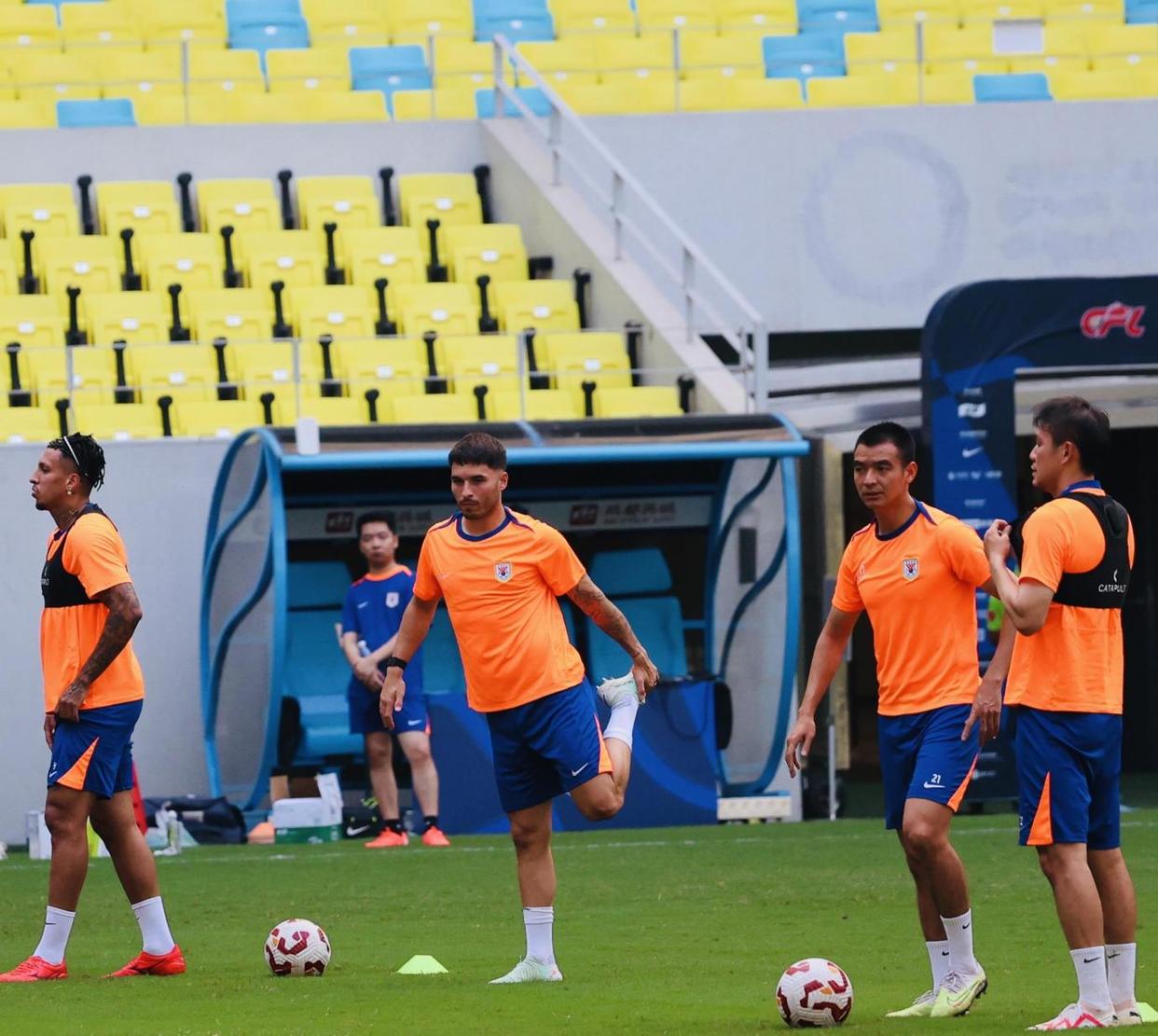 篮球里主帅挑战怎么回事