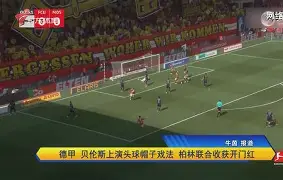 乌迪内斯比赛推迟