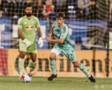 开元-荷兰队全攻全守阵型