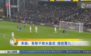 开元-水晶宫vs曼城预测